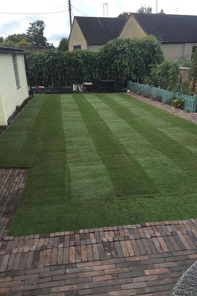 Fresh laid lawn
